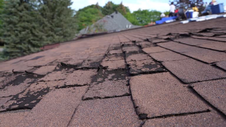 Best Roof Waterproofing  in Bellefonte, DE