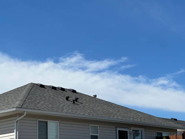 Best Roofing for New Construction  in Bellefonte, DE
